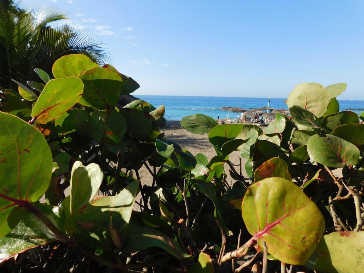 Appartamento Brisas Del Mar Costa Adeje  Esterno foto