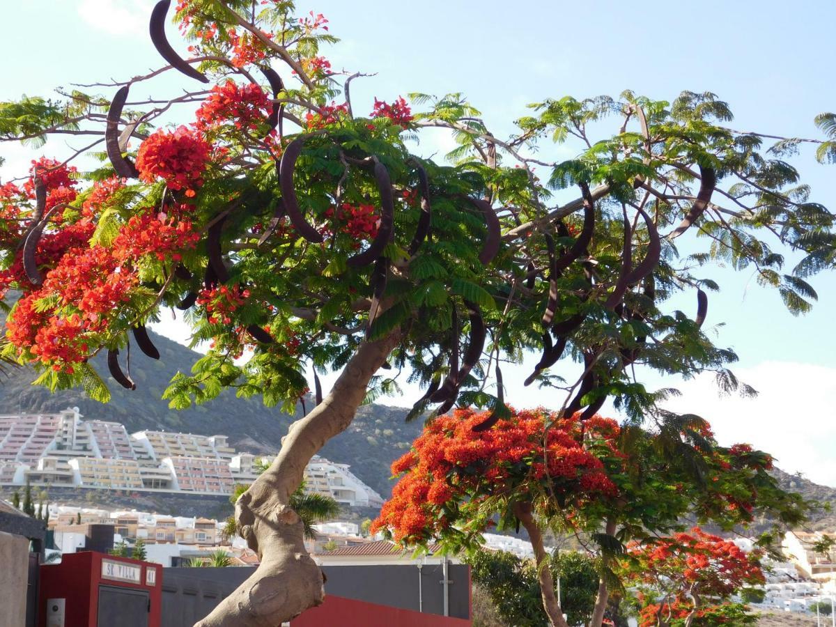 Appartamento Brisas Del Mar Costa Adeje  Esterno foto